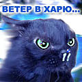 ������ ��� MOZG